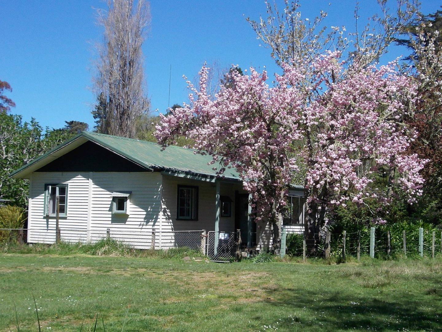 Gisborne Group Accommodation At Morere Hot Springs Lodge