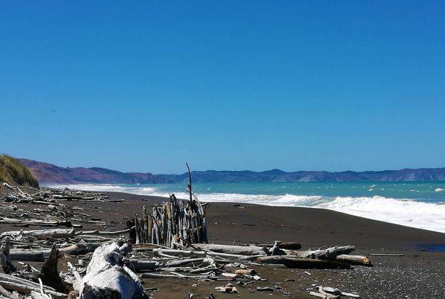 Beaches / Fishing Morere Lodge